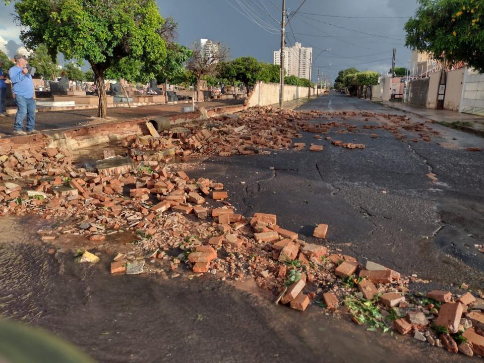 Foto 2 de 4 — Mais de 40 árvores caíram durante forte temporal em Araraquara